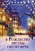 В Рождество звезды светят ярче: роман