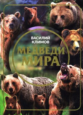 Медведи мира
