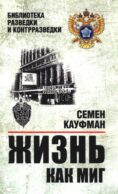 Жизнь как миг
