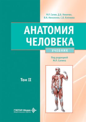 Анатомия человека: Учебник: в 2 т. Т. 2