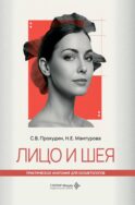 Лицо и шея