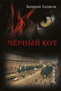 Черный кот: роман