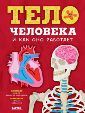 Тело человека и как оно работает
