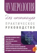Нумерология для начинающих. Практическое руководство