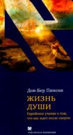 Жизнь души. Еврейское учение о том, что нас ждет после смерти