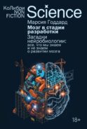 Мозг в стадии разработки. Загадки нейробиологии: все, что мы знаем и не знаем о развитии мозга