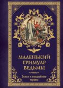 Маленький гримуар ведьмы. Зелья и волшебные травы
