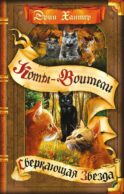 Коты-воители. Сверкающая Звезда