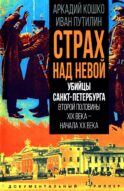 Убийцы Санкт-Петербурга второй половины XIX века – начала XX века