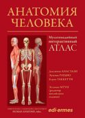 Анатомия человека:атлас