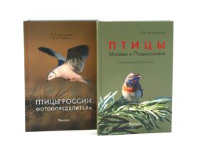 Птицы Москвы и Подмосковья; Птицы России: Фотоопределитель (комплект из 2-х книг)