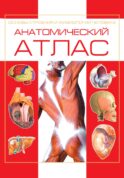 Анатомический атлас. Основы строения и физиологии человека