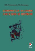 Клиническая анатомия сосудов и нервов: Учебное пособие. 13-е изд., перераб. и доп