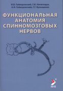 Функциональная анатомия спинномозговых нервов: Учебное пособие. 2-е изд., перераб. и доп
