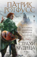 Страхи мудреца. Том 1